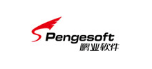 成都鹏业软件股份有限公司